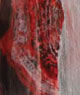 Rodarte Gown