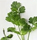 - Home Products Development - Home Products Development
