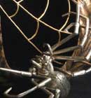 Stacey Blair - Jewelry Design 