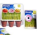Anna Milivojevic - Packaging Design
