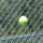 FIT Tennis Team FIT Tennis Team