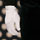 Marcus Cumberpatch - Menswear Marcus Cumberpatch - Menswear