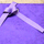 Ayelet Shachar - Precollege Programs