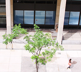 FIT campus