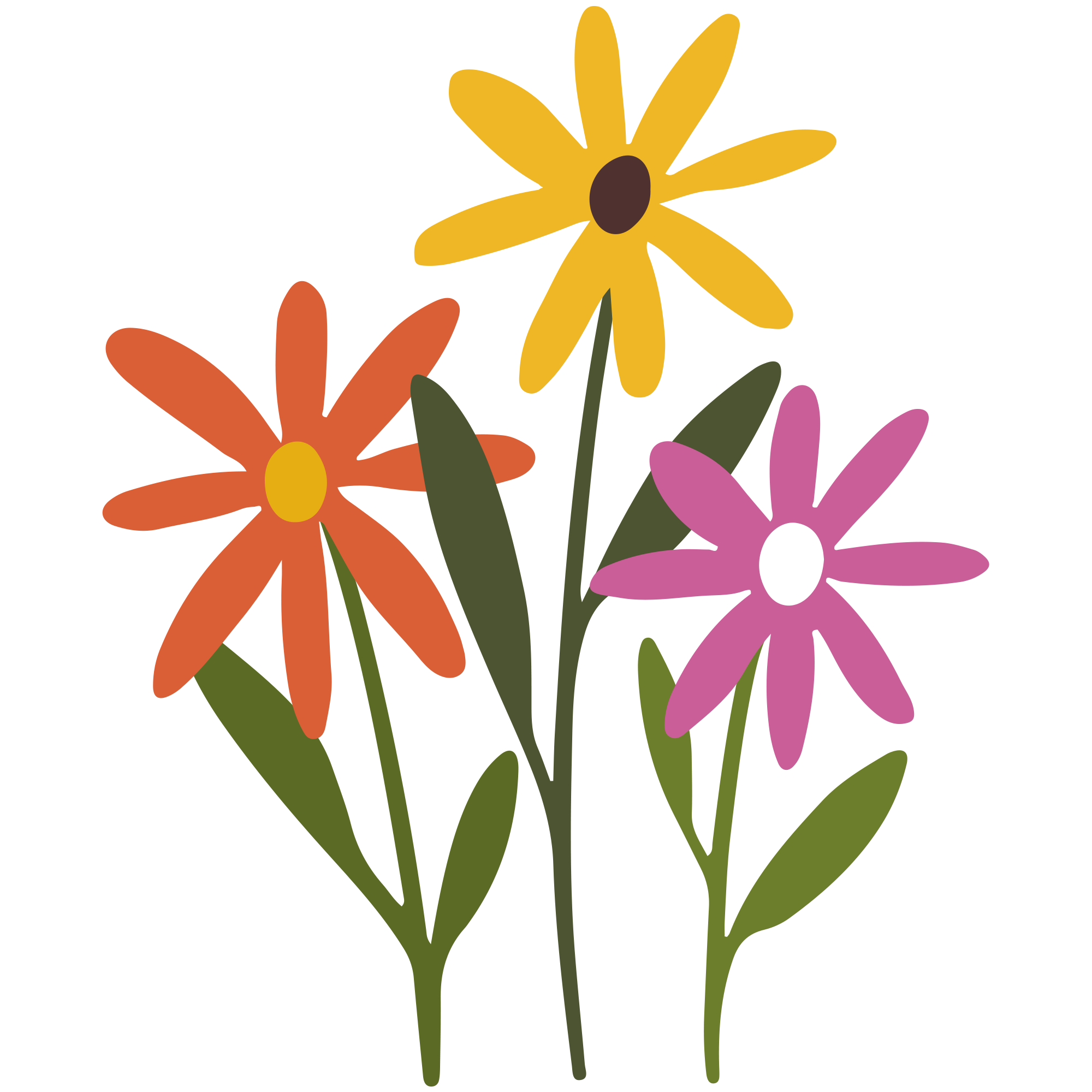 Three Spring Flowers