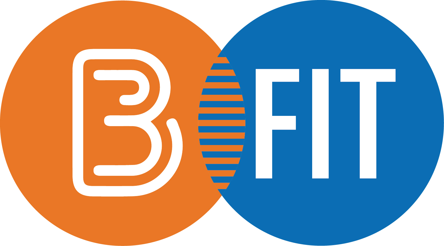 Bightspace and FIT