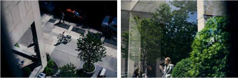 Image on the left - birds eye view looking down the street from somewhere high on the building, the downward lines of the building's wall and columns anchor the composition. It's a warm day, there are few people around, one person is walking the bicycle. There are benches, small trees in large containers, and several cars parked along the street. Sunlit grays of the sidewalk and building concrete and very dark shadows create a slightly unsettling feeling about the scene.     Image on the right - green tree foliage dominates the image, some of it is captured directly, and some of it is reflected in the glass. Several figures, street lights, parts of the building and greenery reflect and refract creating a serene yet dynamic image.