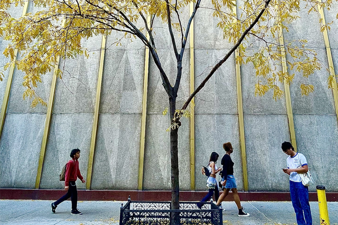 Des étudiants se promènent sur le campus avec un arbre aux feuilles jaunes en arrière-plan