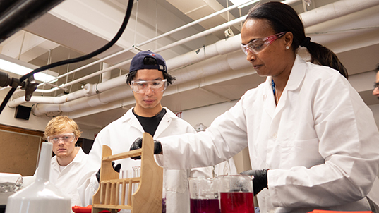 faculty member working in science class with FIT students