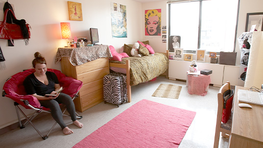 PLAYING THE NEW SCHOOL CAMPUS 3 DORMS? IT MIGHT LOOK LIKE THIS