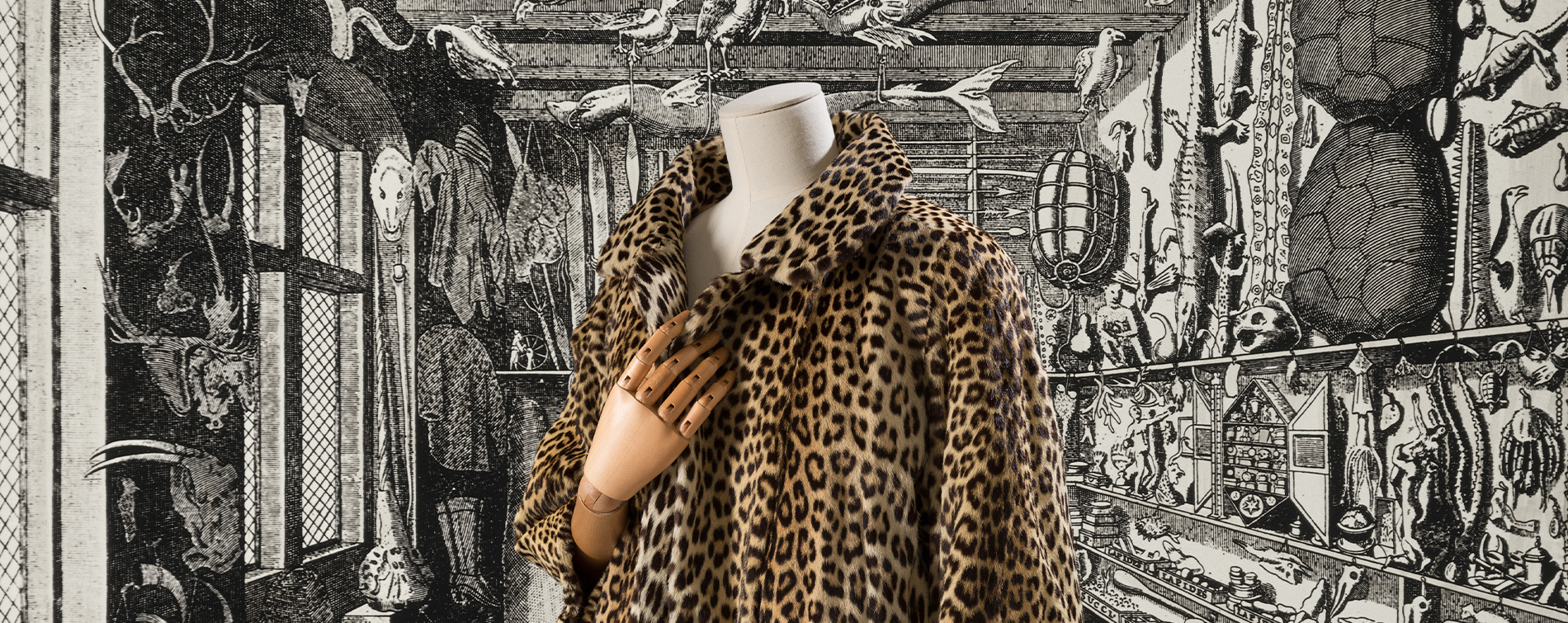 leopard print coat with illustration of cabinet of curiosity behind it