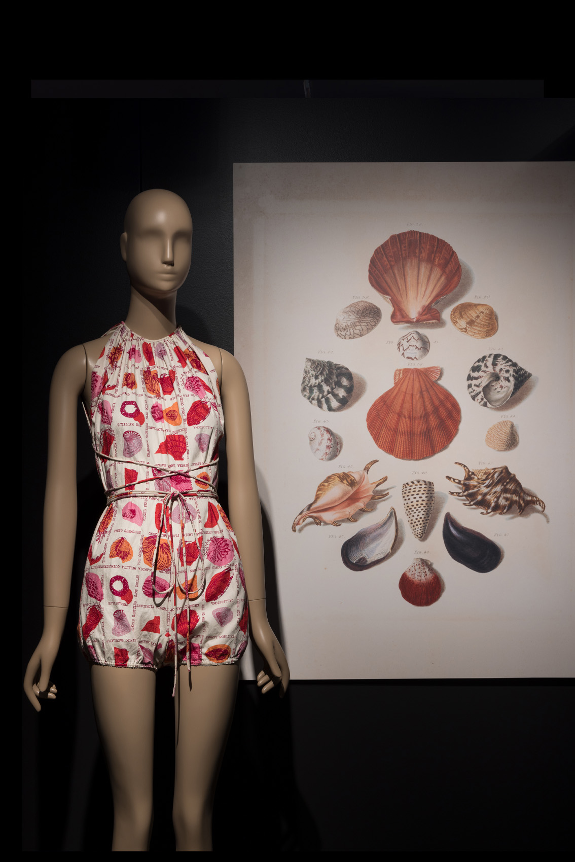 mannequin in a white romper with shell print standing next to a 18th century shell illustration